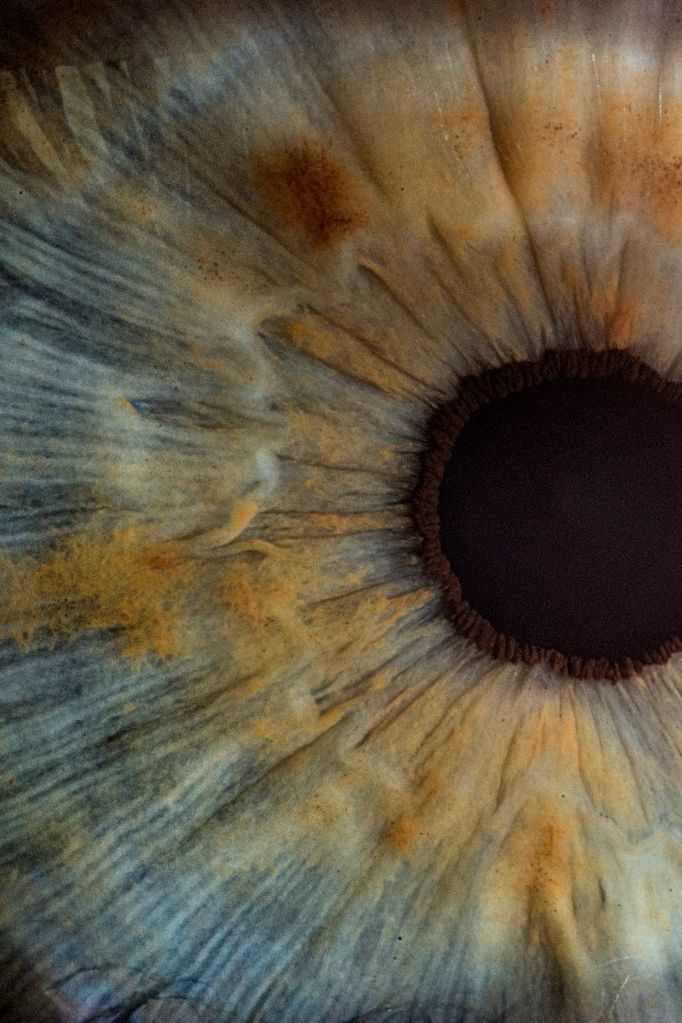 Íris humana em close
